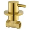 Flova Levo Hot Wall Mounted Shut Off Valve Brushed Brass -Home Furnishings flova bb lvwmconhw