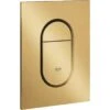 Grohe Arena Cosmopolitan S Flush Plate Brushed Cool Sunrise -Home Furnishings grohe 37624gn0