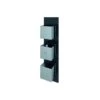 RAK Feeling Square Dual Outlet Thermostatic Shower Valve Black -Home Furnishings rak rakfsv2504s