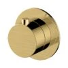 RAK Petit Round Concealed On/Off Valve Brushed Gold -Home Furnishings rak rakper3020 1g
