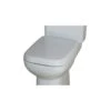 RAK Origin Soft Close Toilet Seat 1 RAK Origin Soft Close Toilet Seat -Home Furnishings rak rkori62seatsc